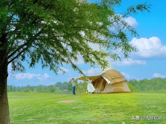 乘地铁，邂逅合肥最美秋色！