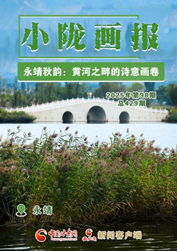 【小陇画报·429期】永靖秋韵：黄河之畔的诗意画卷