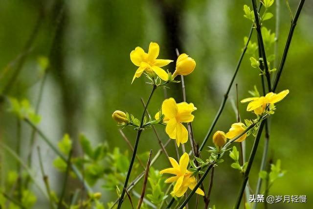 岁末，和自己对对话
