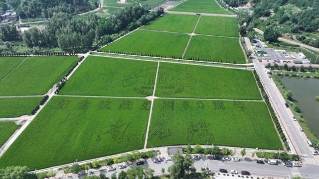 铭记历史 缅怀先烈丨陕西延安：昔日抗战后方 今朝发展动能澎湃