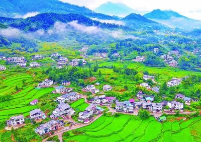 山乡田居