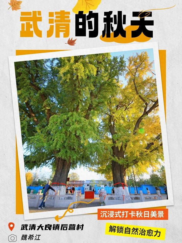 嗨，你的秋天留住了吗？