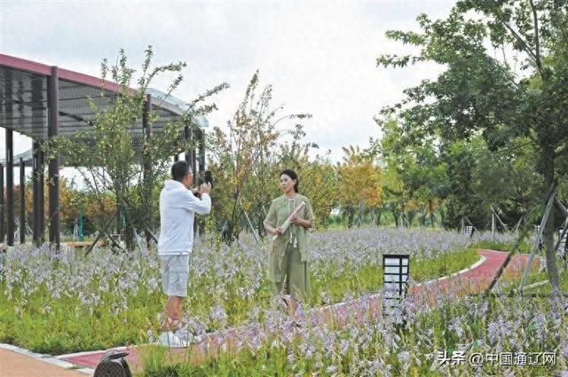 美景缀城郭 闲趣入诗行