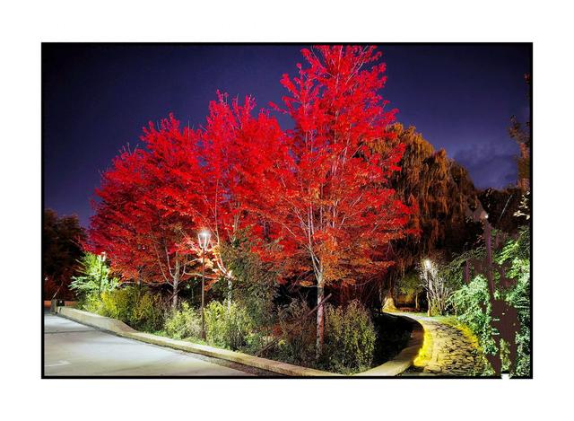 本溪市区未来三天天气预报