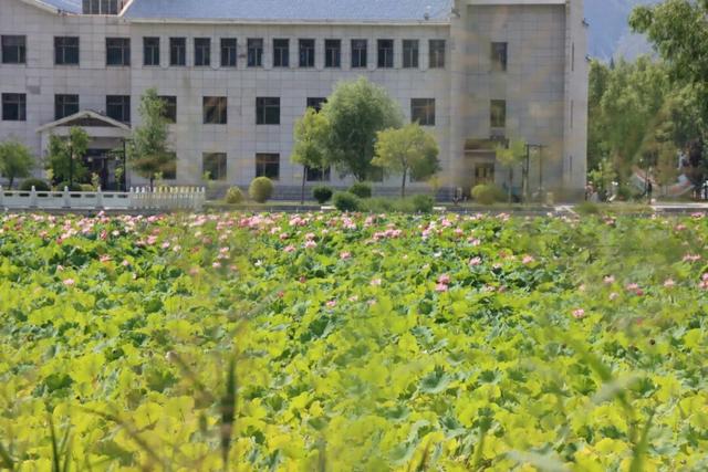 烟火气里品秋韵 白银区金秋旅游季氛围感拉满