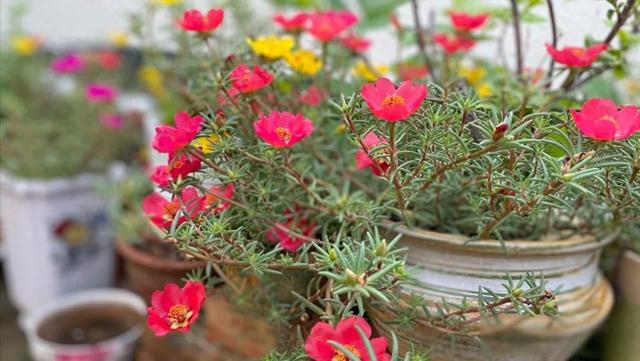 女人退休感悟1：不管有钱没钱	，都要帮子女这三个忙，是为自己好