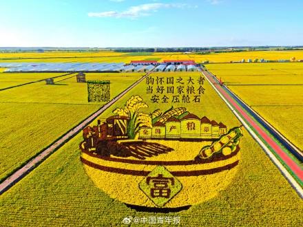 太绝了！富锦稻田画像闯入宫崎骏的夏天