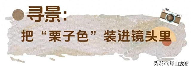 “都市栗人” 指南：坪山寻景品咖、暖过秋冬
