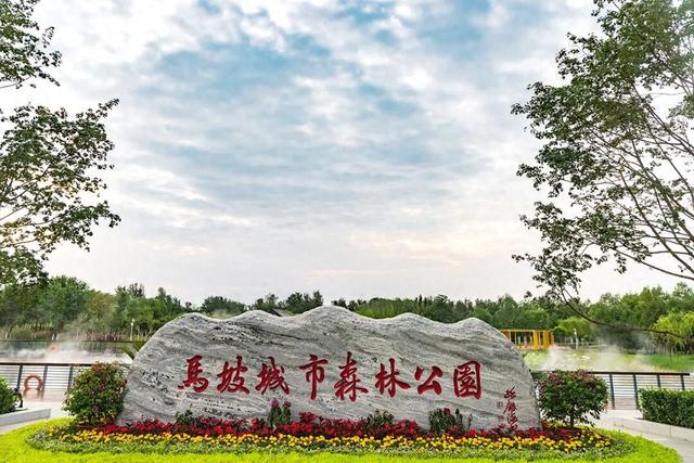 打卡家门口的公园丨藏不住的天然氧吧