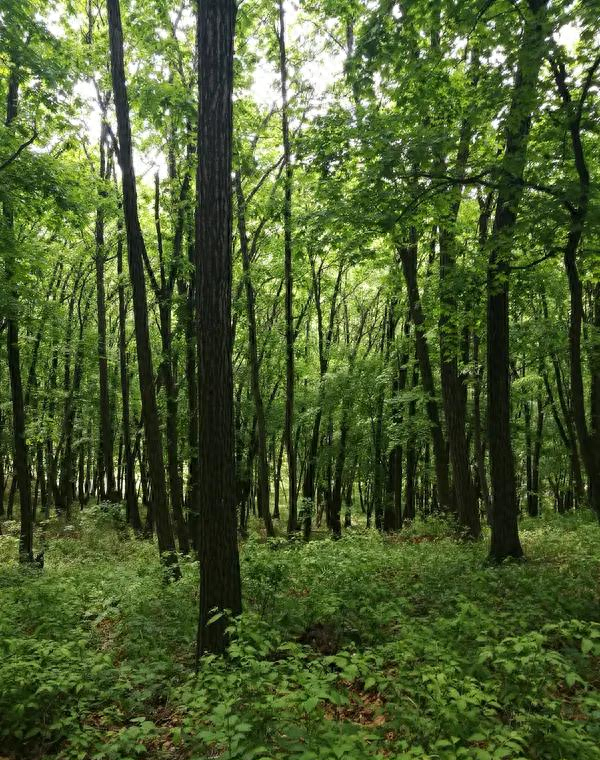 汝阳大虎岭，藏着多少不为人知的秘密