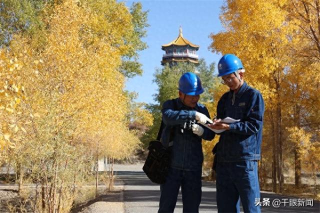 国网酒泉供电公司：用“电网蓝”守护“胡杨金”