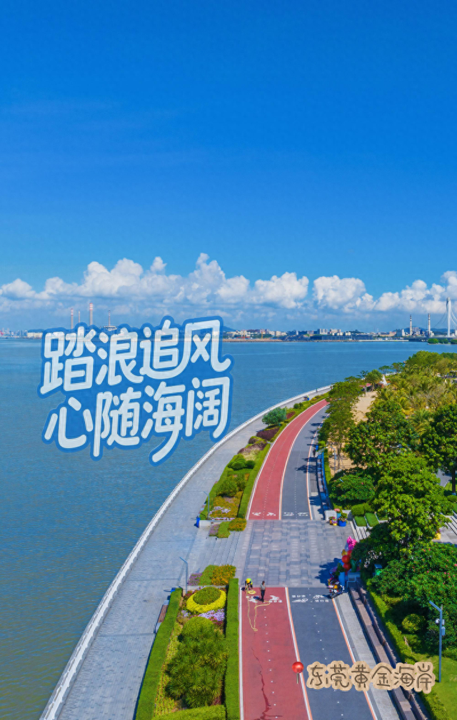 出发！暑期来滨海湾打卡这些宝藏景点🫧