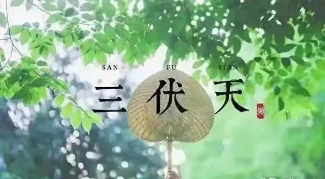 明日入伏，今年三伏天不一般！1个好消息，2个坏消息，3个要注意