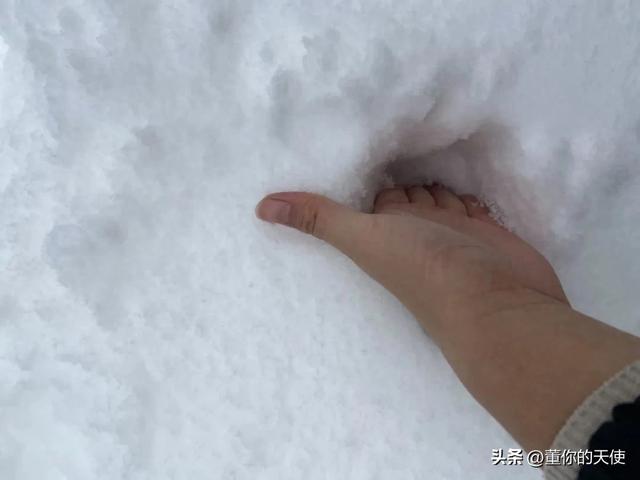 寒冬去信阳一趟,第二天一早我赶紧“跑”了:信阳菜再好也不待了