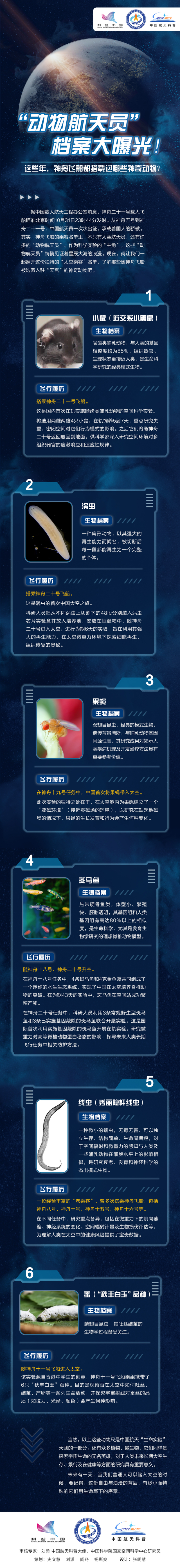 这些年，神舟飞船都搭载过哪些神奇动物？