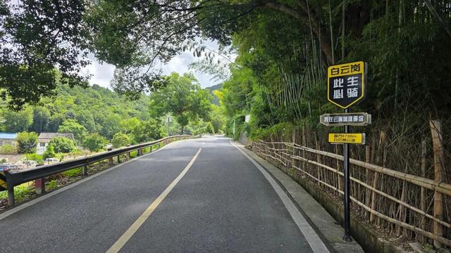 美丽乡村|探寻宁波横邹线上的“浙东人文秘境”