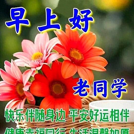 2025年10月27日 第9页