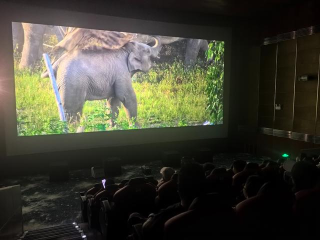 2025年省科技馆“光影科学梦”系列活动圆满收官