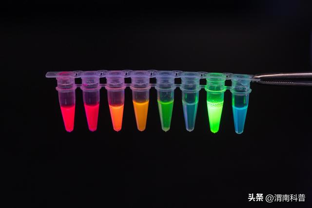 【全国科普月】科学家开发出不同荧光寿命蛋白变体