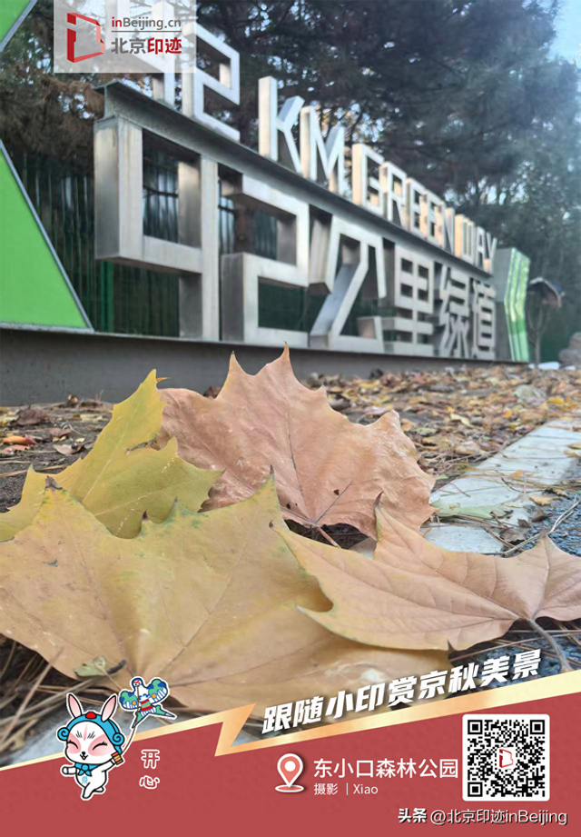 故宫的秋、长城的风，冬日再赏依旧心动