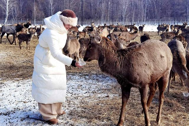 阿荣旗：醉美图博勒 冰雪乐新春