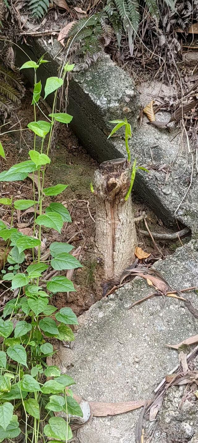 街头漫步随笔