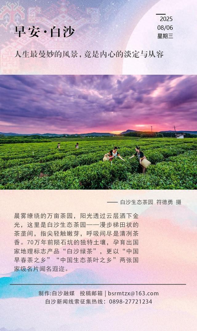每日一景 | 云海茶香，邂逅白沙的绿野仙踪