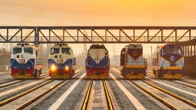 快去打卡！济宁新增一家国有博物馆