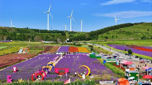 学习强国 | 河北张北：花色斑斓耀山岭