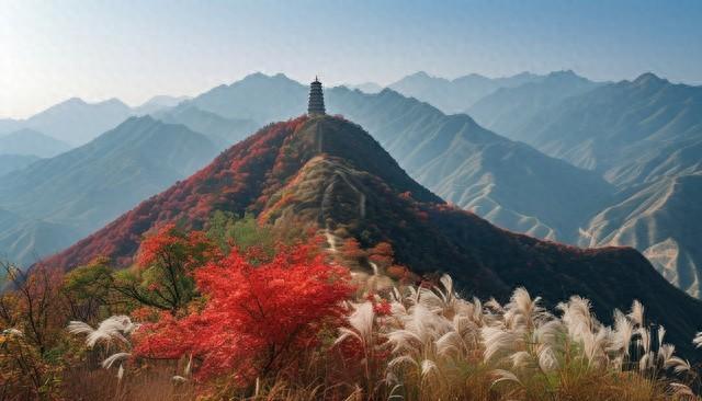 枫景如画，秋色满城！陕西这5个红叶观赏地，每一帧都是大片