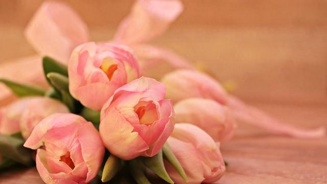 12月22号至25号，星期一，亥猪，即将有事发生