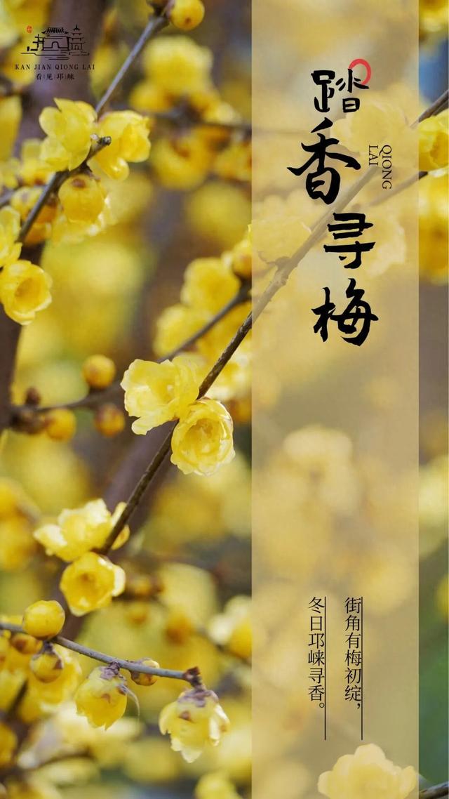 花漾邛州｜“蜡”么香，“蜡”么美！