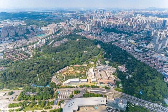 高铁到站、步行入园，红山动物园传来新消息！