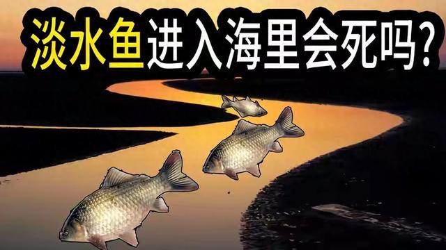 长江最终注入的是什么海？（淡水鱼被冲入大海后）