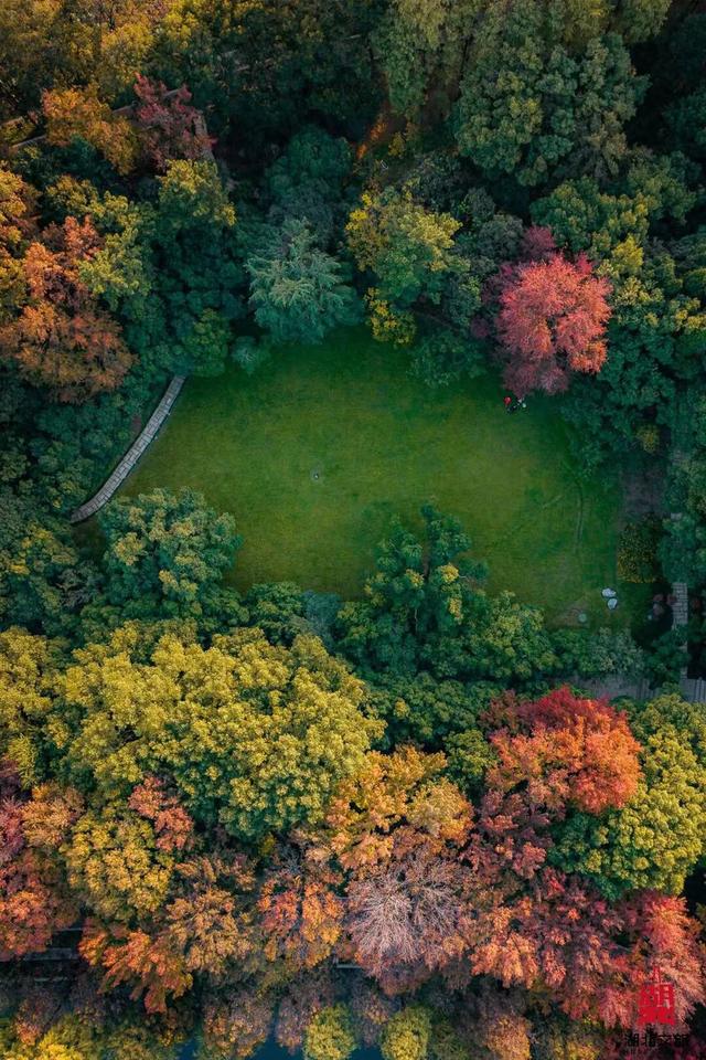 短短短短短……且赏且珍惜