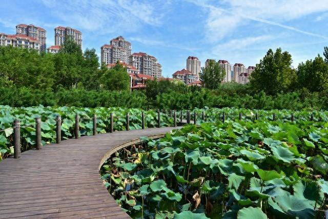 津东第一镇，美丽的景色，天津咸水沽值得推荐的三个景点