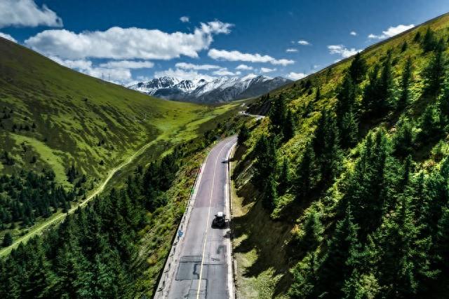 刚退休自驾的朋友注意！身体一旦出这4个信号，别硬撑，赶紧停车