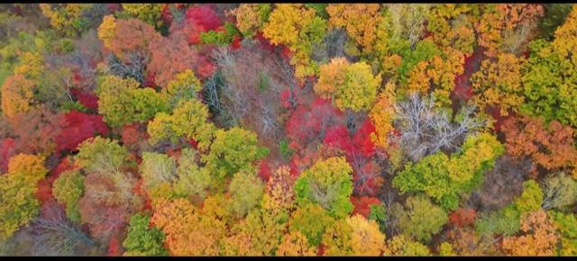 深秋,开启一场热爱的奔赴
