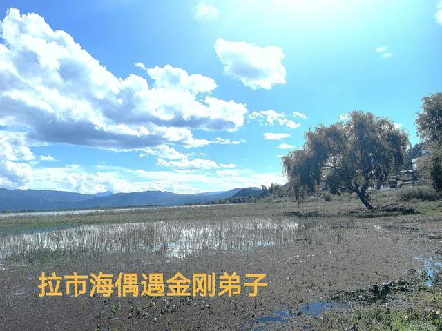 《拉市海偶遇金刚弟子》