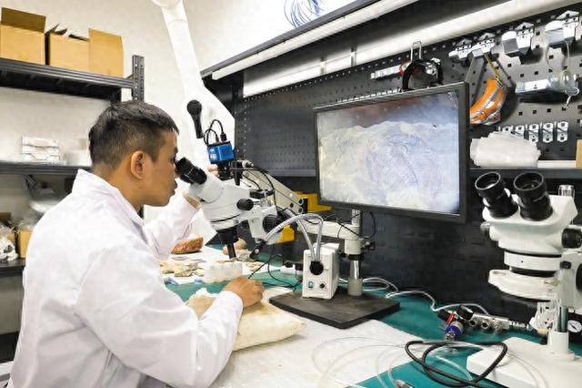 广西首家专业古生物化石修复鉴定室亮相