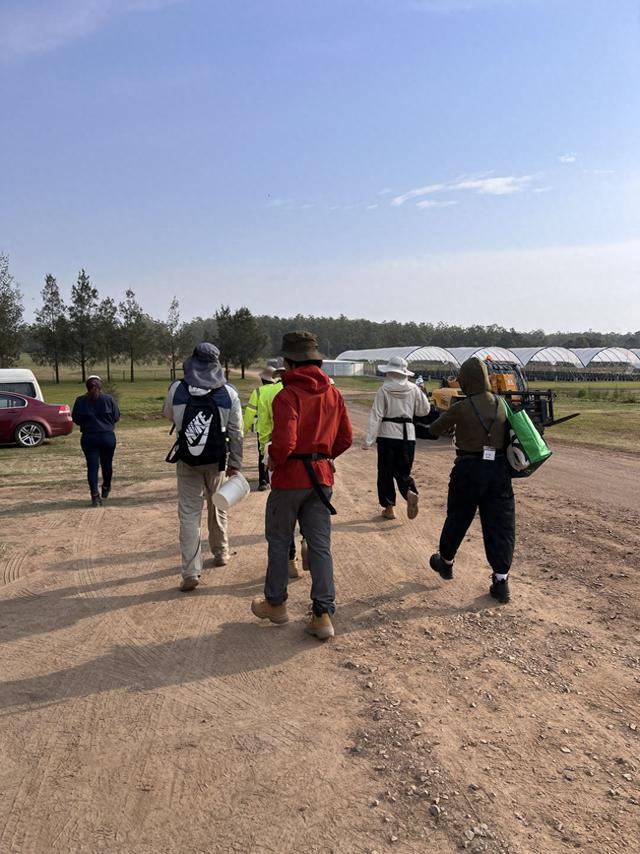 “攒下一笔钱”：一天2000元，中国背包客澳洲打零工