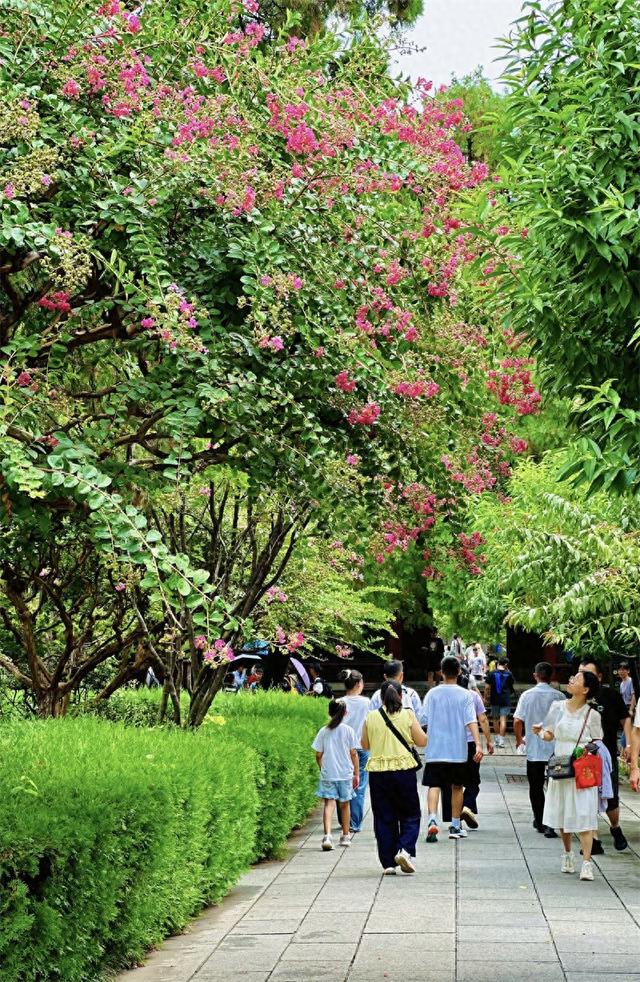 雨霁岱庙景如画 游人畅享清凉意