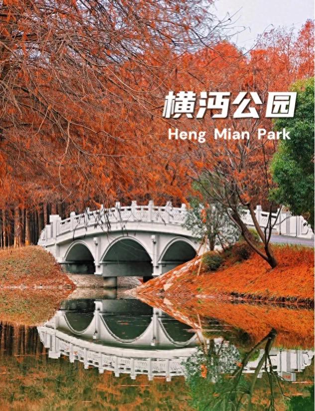 上海人厉害了!比“纽约中央公园”更好的公园,在上海出现了!