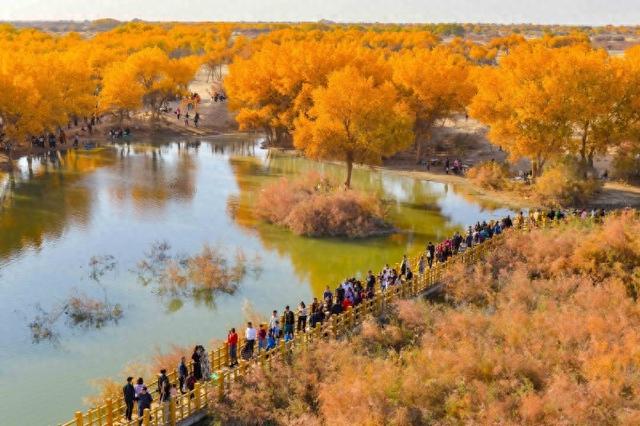 新疆洛浦：胡杨季启幕，游客醉在金林看演出