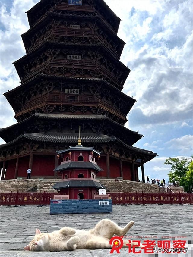 应县木塔旁“塔形猫窝”引围观！