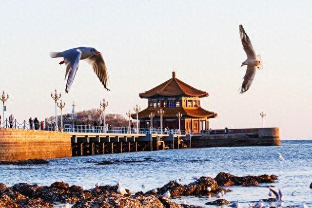 韩国背包客席卷青岛，啤酒不喝、栈桥不打卡，此行目的成谜？