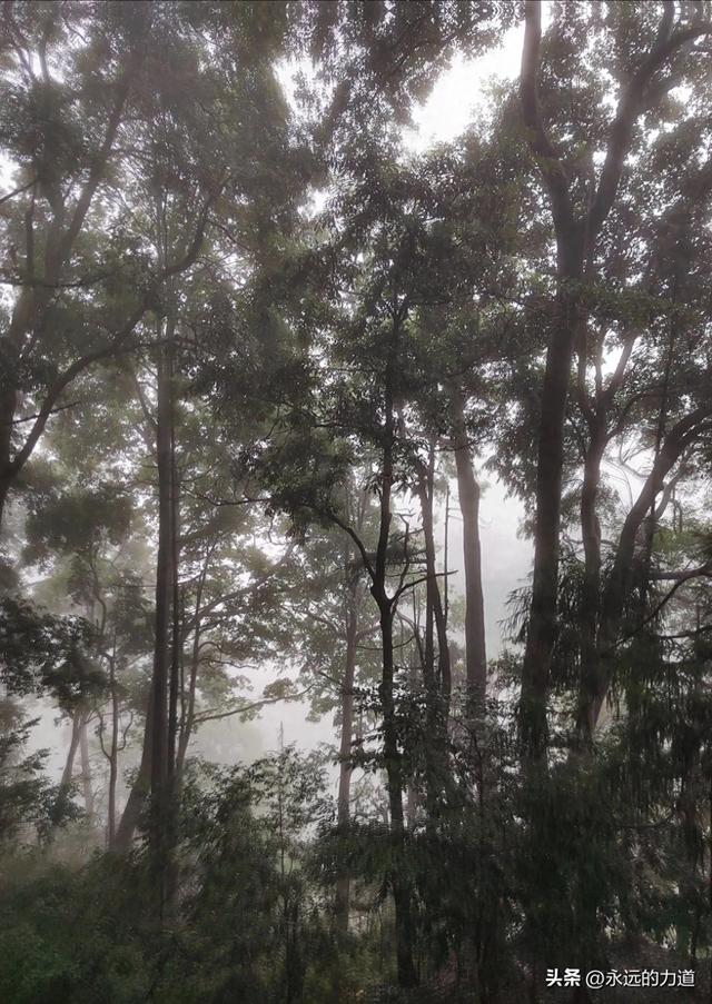峨眉山万年寺， 白水秋风 圣寿万年
