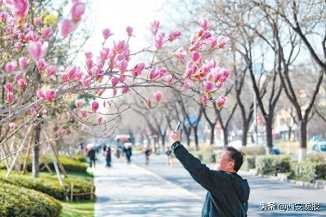 邂逅西安街巷里的唐诗，感受千年回响的悠悠文脉；长安风骨今犹在，半城文物半城诗