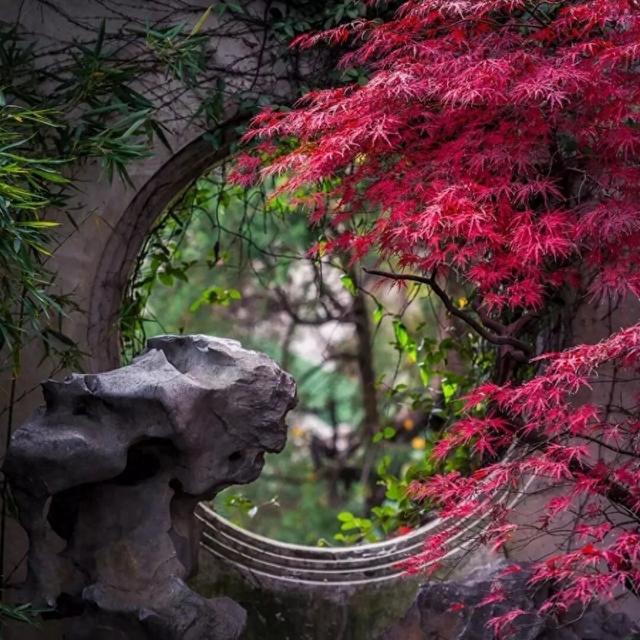 来虎丘山，这里有你更好看！