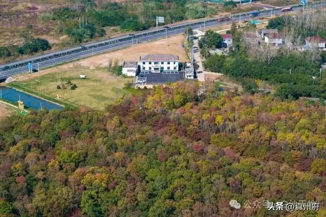 仪征东大门有个农文旅“金三角”，进来看看吧